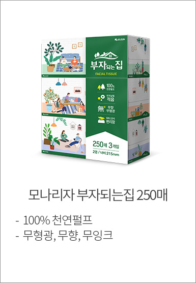 모나리자 부자되는집 250매